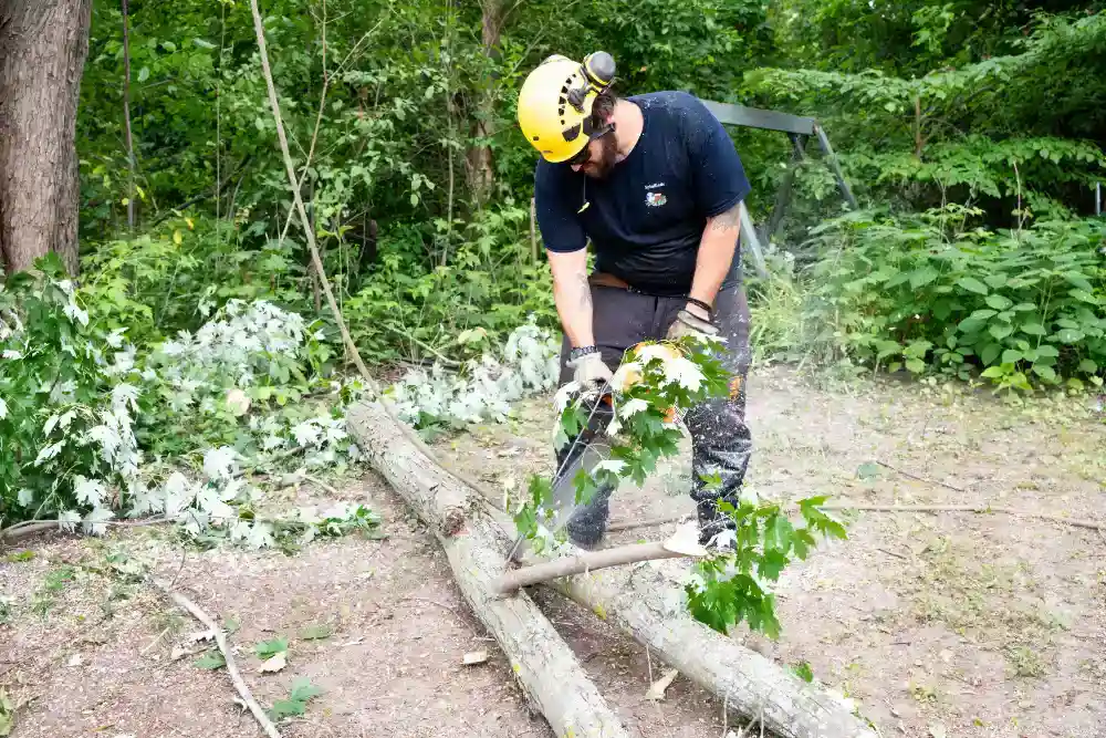 FAQ 1 SpinBlade chopping tree
