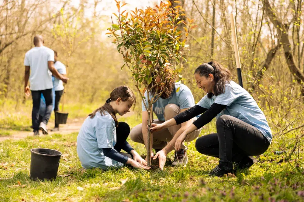 a group of people planting a tree in a forest and this shows an act of tree care and for the environment a group of people planting a tree in a forest and this shows an act of tree care and for the environment