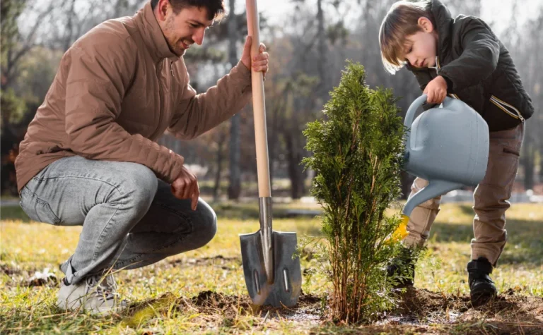 Tree Care 101: What to Do & How Should You Do It