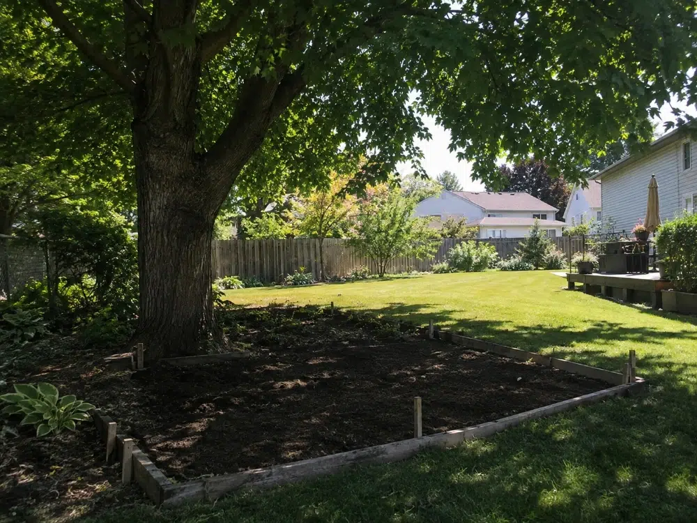 Tree Removal for Landscaping: What to Remove and How 2 Surface roots lifting a patio or path signal that the tree's root zone is already working against your landscaping plans.