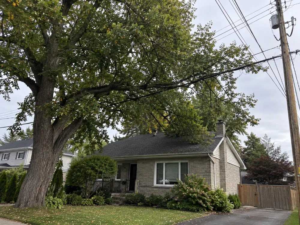 Tree Removal for Landscaping: What to Remove and How 4 When a tree has grown too close to a roof or power line, proximity to structures becomes the deciding factor — not aesthetics.