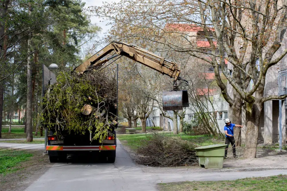 The 9 Benefits of Tree Removal (Did We Miss Any ?) 1 an arborist standing next to a truck after removing a tree to get an enhanced habitats safety and this one of the benefits of tree removal benefits of tree removal