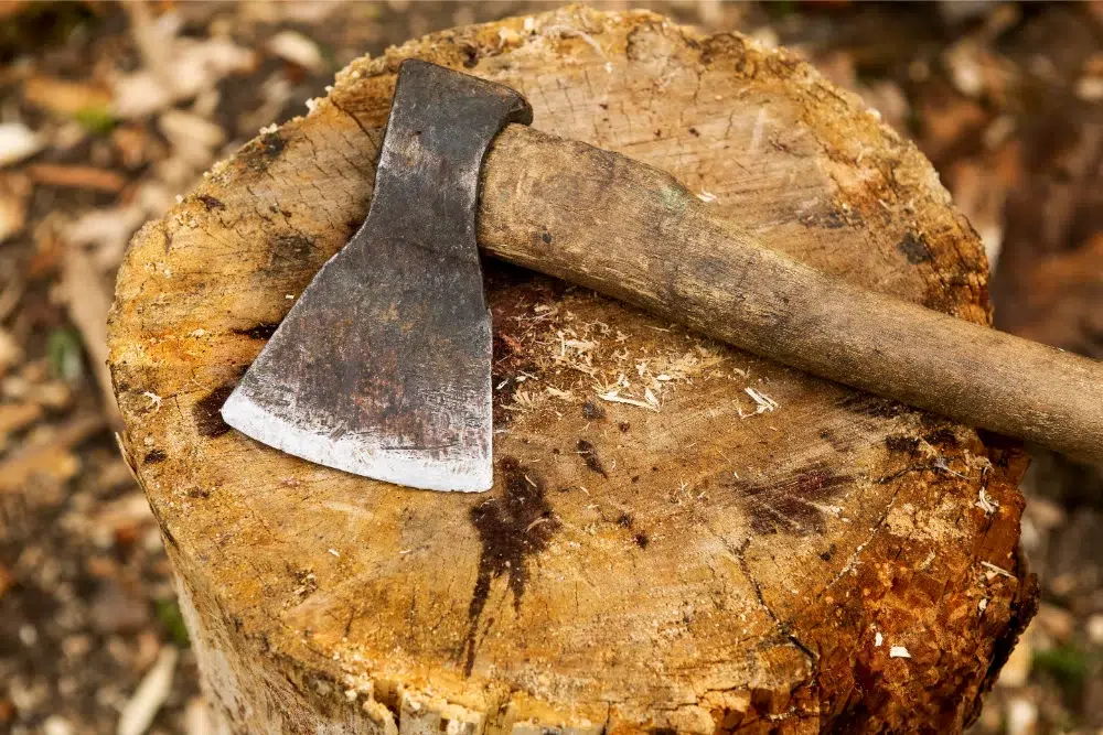 Stump Removal Cost in Ottawa: Prices, Factors & Estimates 2 close up wood chopping stump removal cost