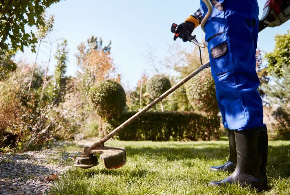 arborist-with-weedwacker-cutting-grass-in-a-garden-of-a-commercial-property-showcasing-the-importance-of-commercial-tree-services arborist-with-weedwacker-cutting-grass-in-a-garden-of-a-commercial-property-showcasing-the-importance-of-commercial-tree-services