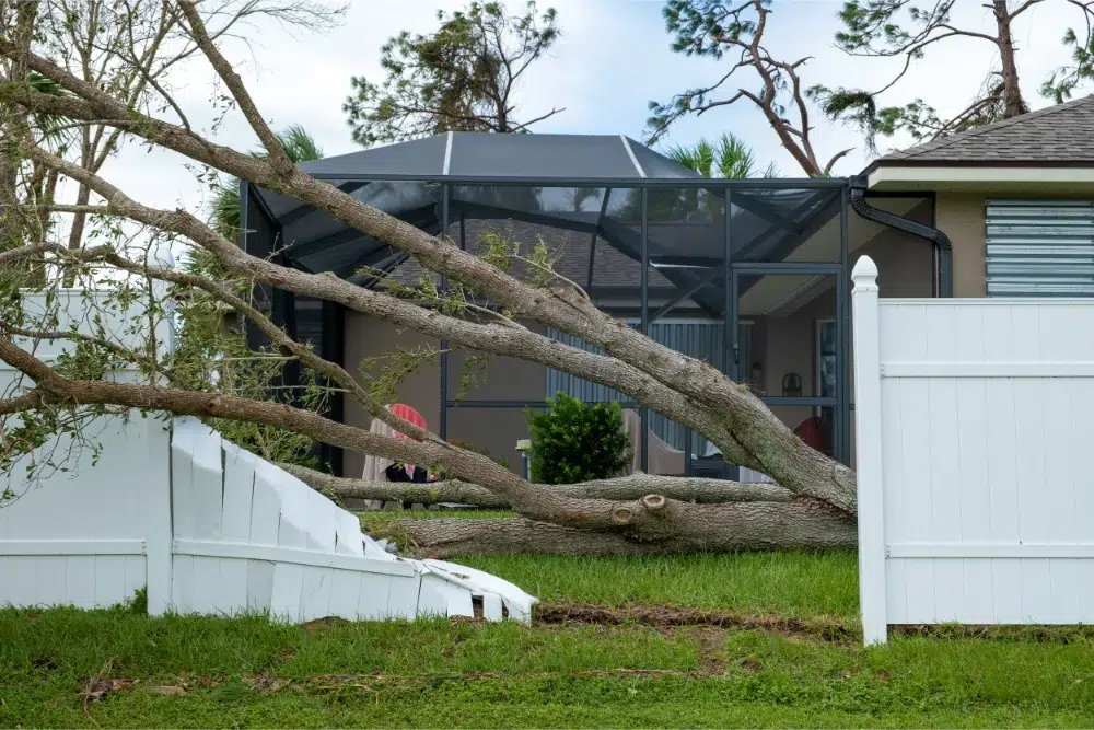 large tree damage over white fence near home, avoidable with tree storm preparation services in Ottawa large tree damage over white fence near home, avoidable with tree storm preparation services in Ottawa