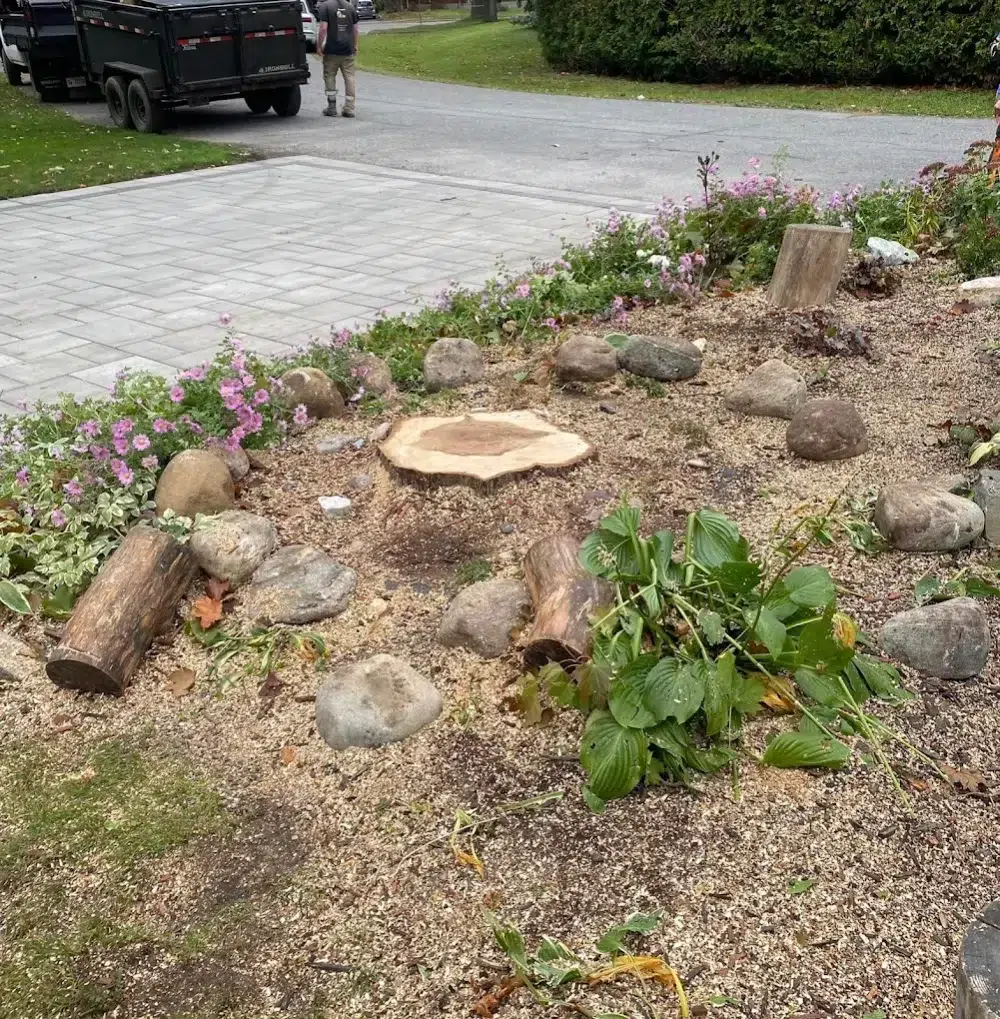 a green space need tree services in Kanata a green space need tree services in Kanata