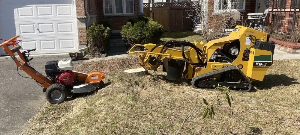 a person using tree service equipement to remove a tree and this showcase the importance of tree services in Manotick to mantain a beautiful green space a person using tree service equipement to remove a tree and this showcase the importance of tree services in Manotick to mantain a beautiful green space