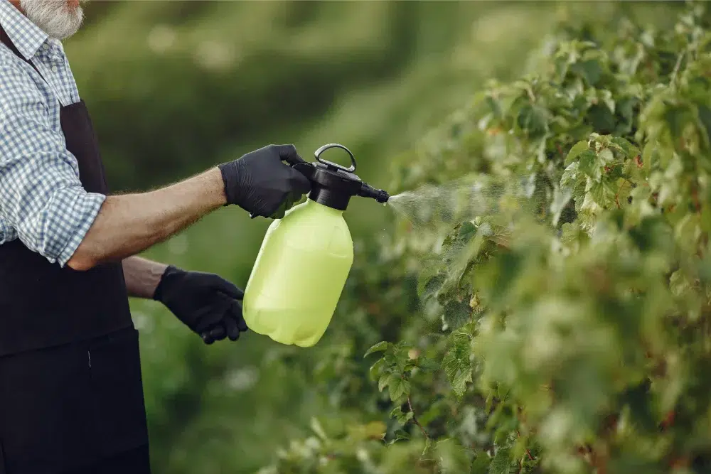 Tree Fertilization: Methods & How-To Checklist 4 farmer spraying vegetables garden with herbicides man black apron tree fertilization,tree fertilization service