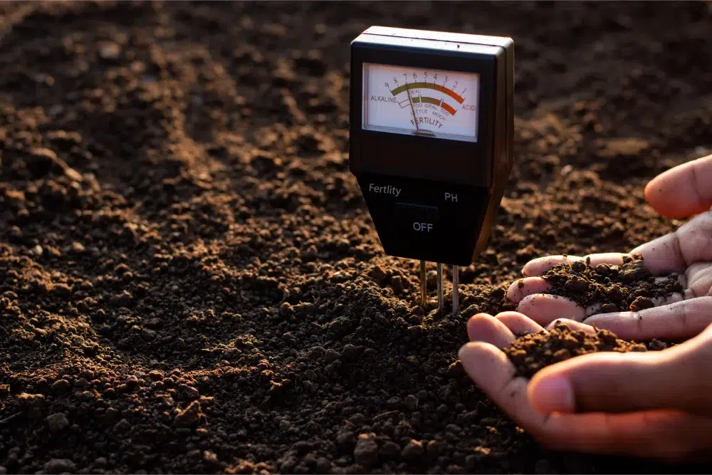 Tree Inspection Checklist for Homeowners 2 soil meter farmer s hands are picking up soil planting tree inspection
