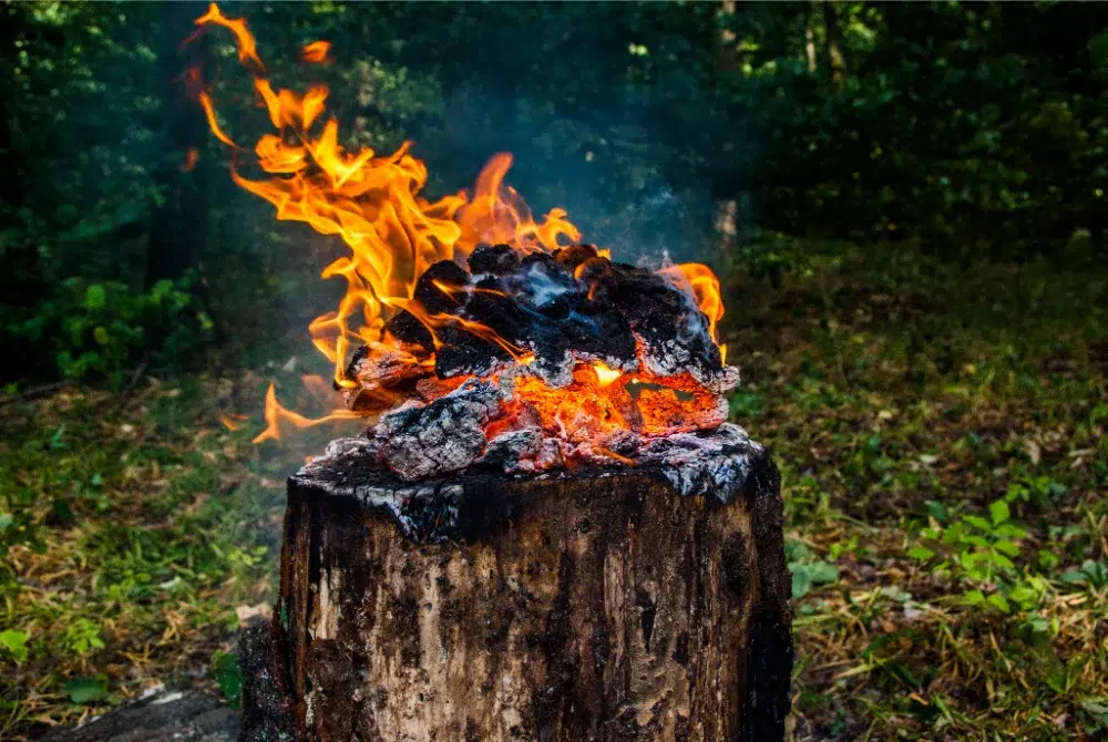 DIY Stump Removal: Methods That Work (& Ones That Don’t) 4 wooden stump on fire diy stump removal