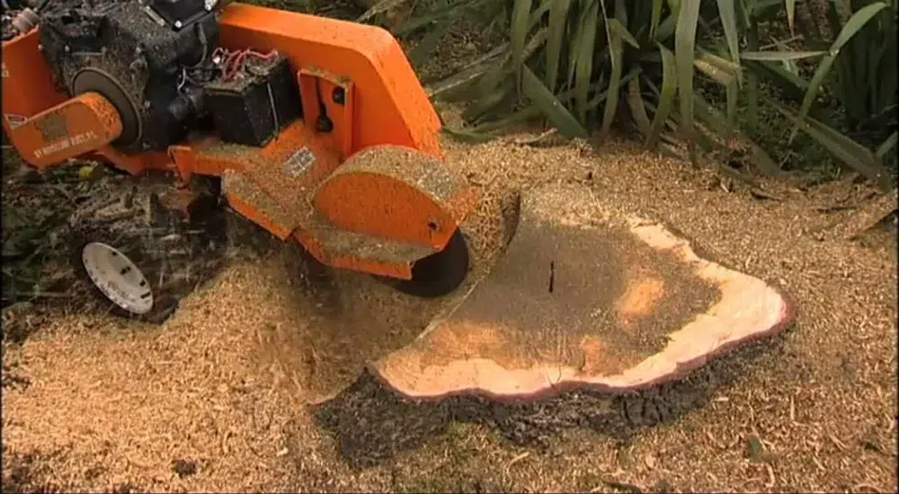 Land Clearing Equipment: What The Pros Use & Why 8 close up of stump grinder grinding stump land clearing equipment