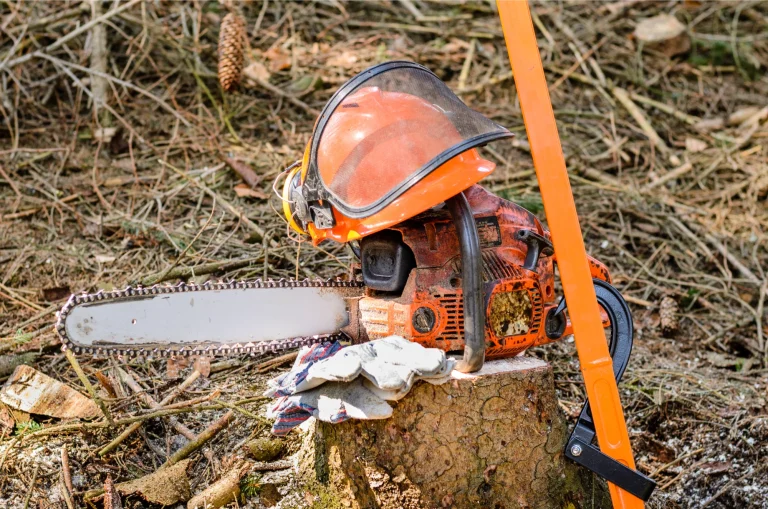 Tree Cutting Tools: What you Need For Safe & Quick Results
