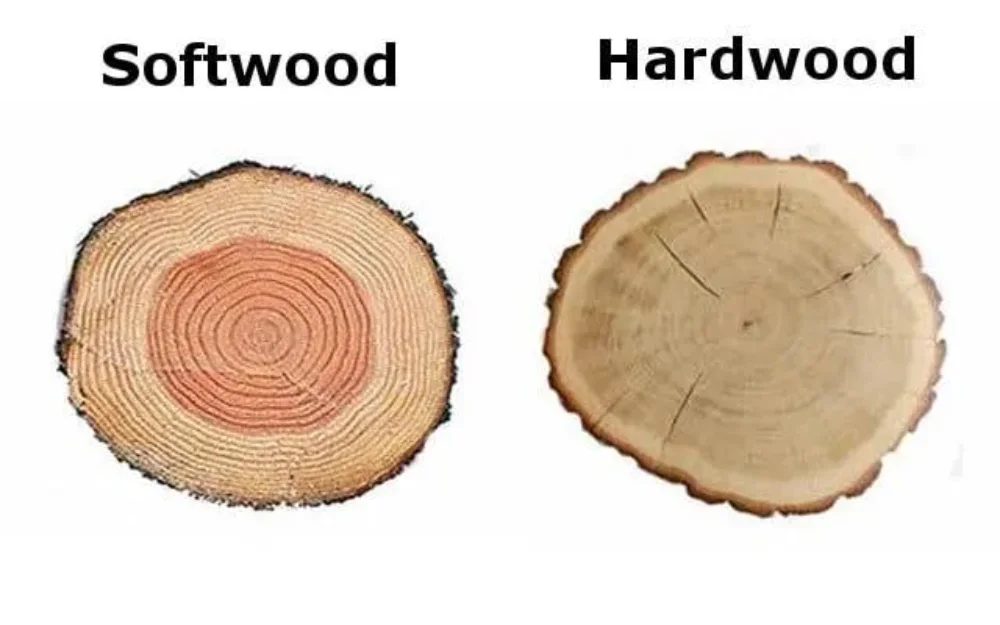 5 Tree Cutting Techniques: When & How to Perform Each one! 1 image of wood density logs 1 tree cutting techniques