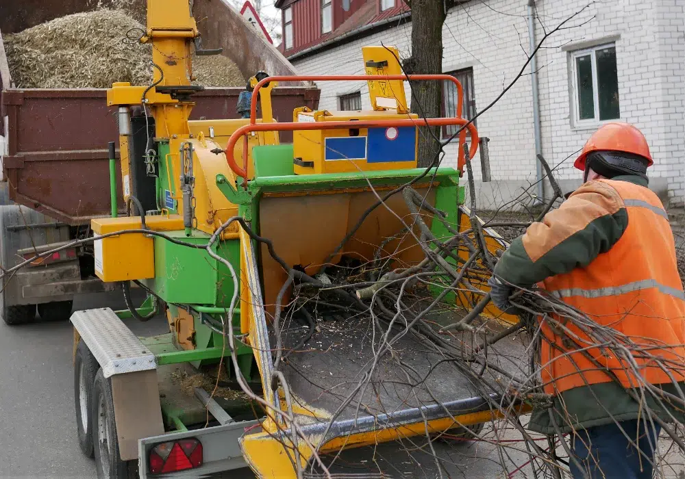Land Clearing Equipment: What The Pros Use & Why 7 industrial wood chipper land clearing equipment