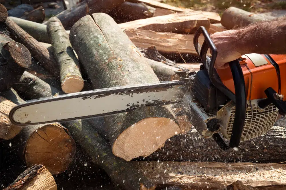 Land Clearing Equipment: What The Pros Use & Why 6 lumberjack cutting wood with chainsaw land clearing equipment