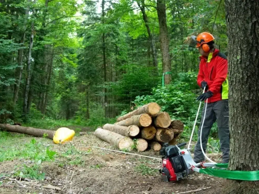Land Clearing Equipment: What The Pros Use & Why 10 portable winch for land clearing 1 land clearing equipment