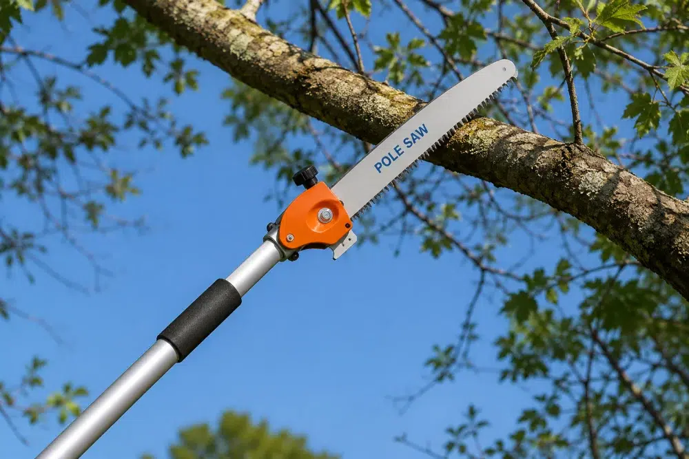 Tree Trimming Tools: Which Ones Do You Actually Need? 4 ai image pole saw Tree Trimming Tools,tree trimming safety LINKED,basic tree maintenance (tree trimming pillar) LINKED,tool for tree trimming,best tree trimming tool,best tree trimming tools,tree cutting tools,Tree Trimming Tool,pruning tools