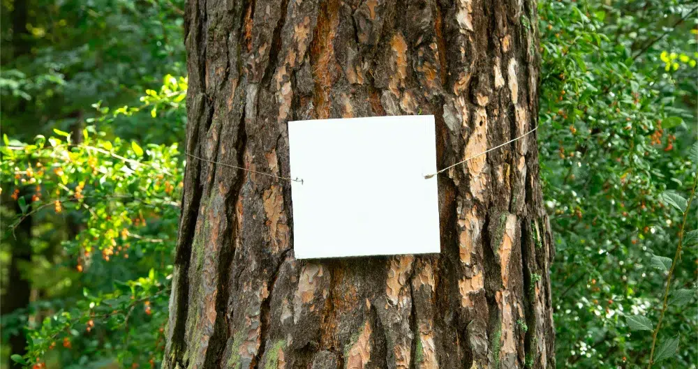Tree Removal Permit in Ottawa : How & When To Get One 2 tree trunk with 7 day notice after receiving tree removal permit in ottawa
