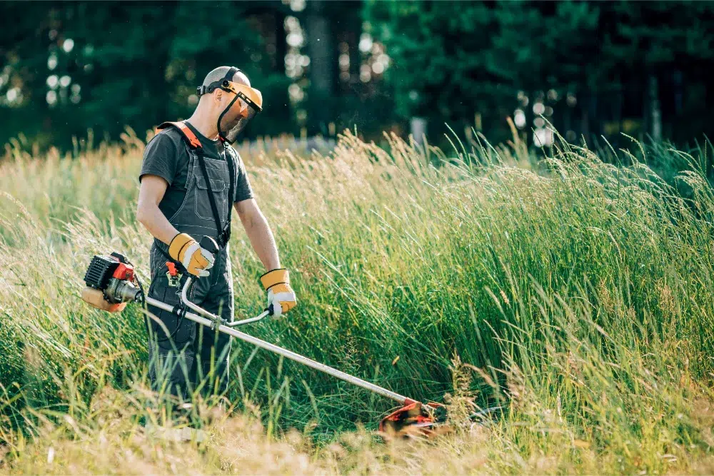 Land Clearing Methods: 5 Common Techniques Explained 1 male gardener mows grass with Brush cutters land clearing methods,land clearing method,land clearing techniques,methods of land clearing,land clearing costs (SUB PILLAR ) LINKED,what the process involves (land clearign pillar) LINKED,Forestry mulching sub pillar